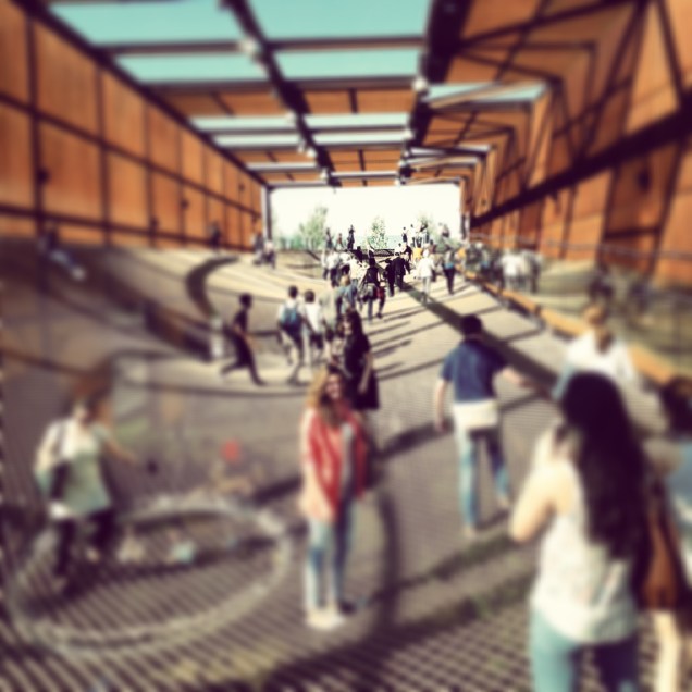 Lunghissima rete sospesa  in Brasile