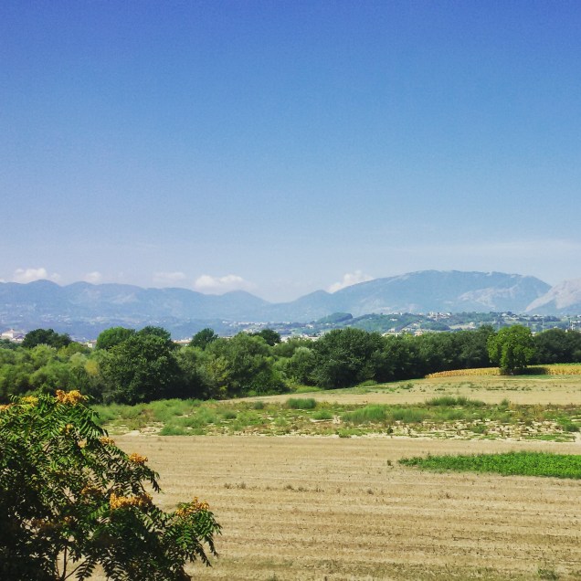 Sole e caldo, un'ottima giornata!