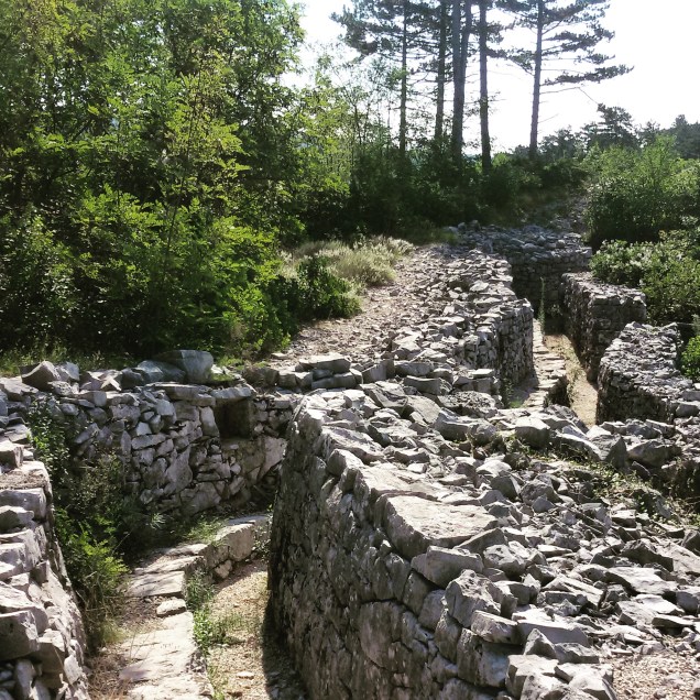 Linee di trinceramento lungo il percorso