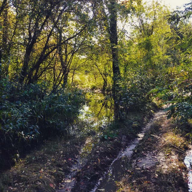 Il cammino reso impervio da fango e pozzanghere