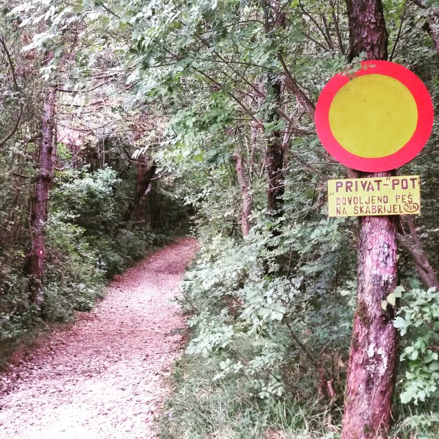 L'inizio del percorso di risalita del San Gabriele