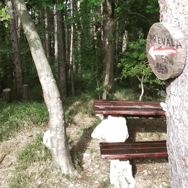 L'inizio del percorso del ritorno