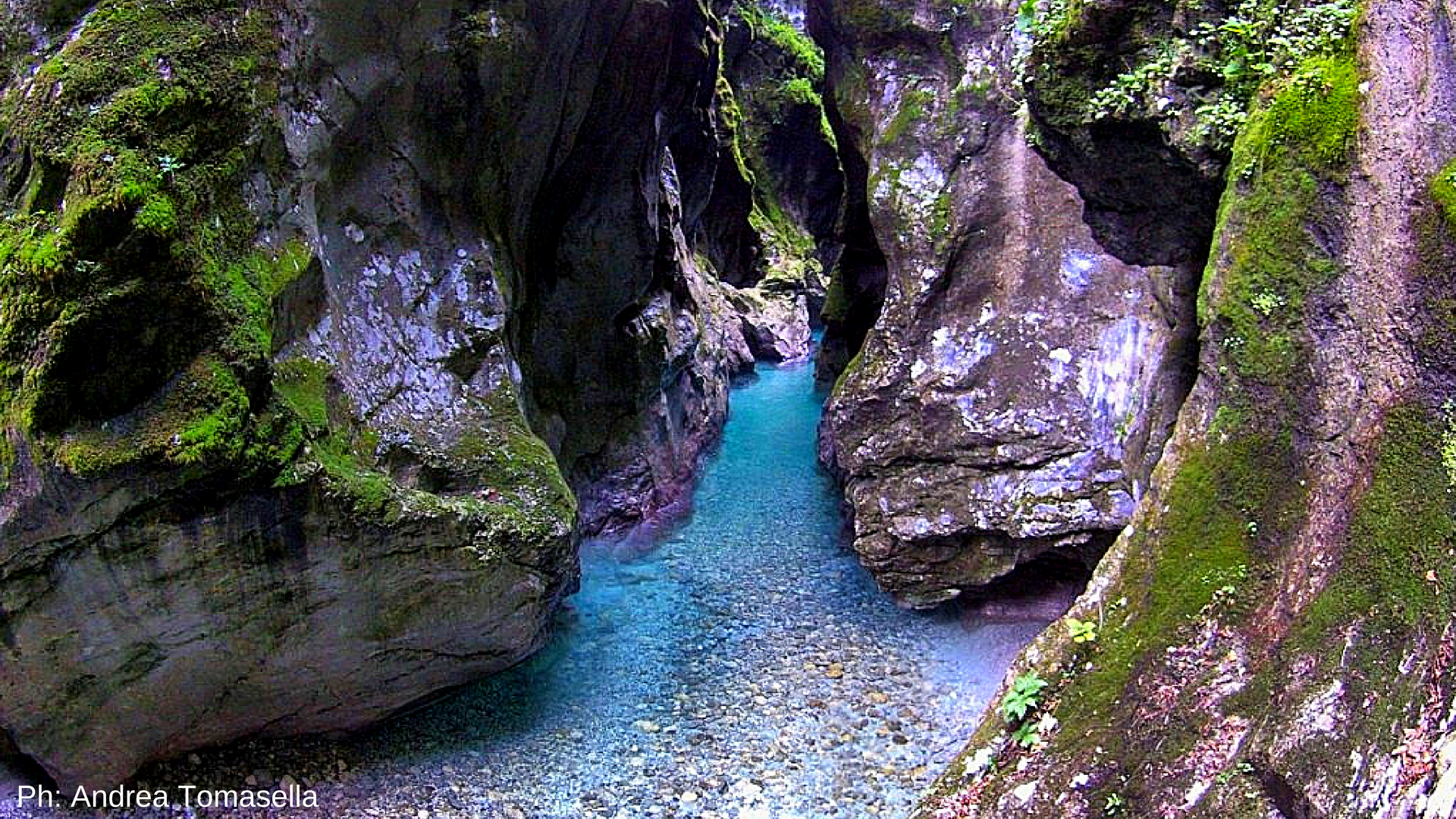 Gole di Tolmin