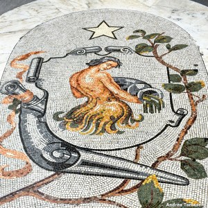 Segno zodiacale acquario Galleria Umberto I