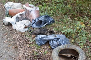 rifiuti lungo la strada