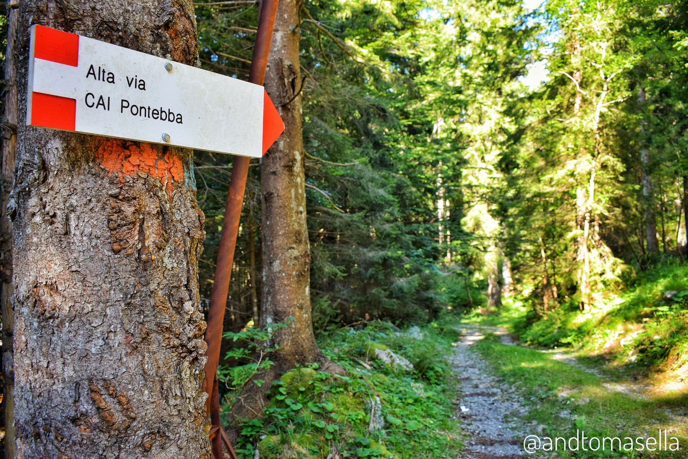 Inizio escursione Malvuerich Alto