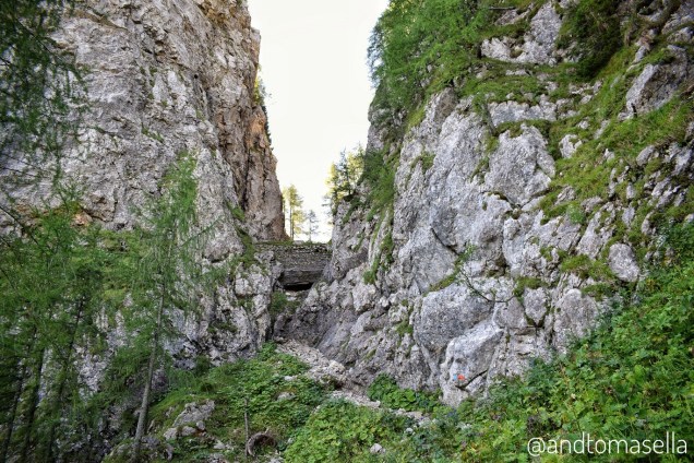 Forca Glome del Malvuerich