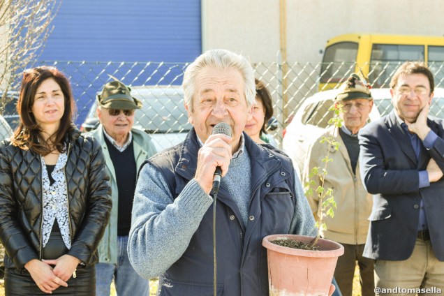 festa dell albero corno di rosazzo