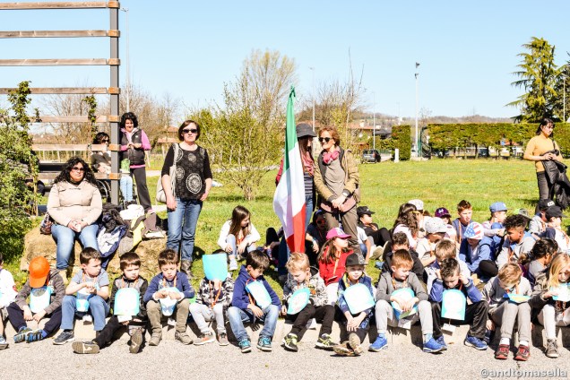 festa dell albero corno di rosazzo