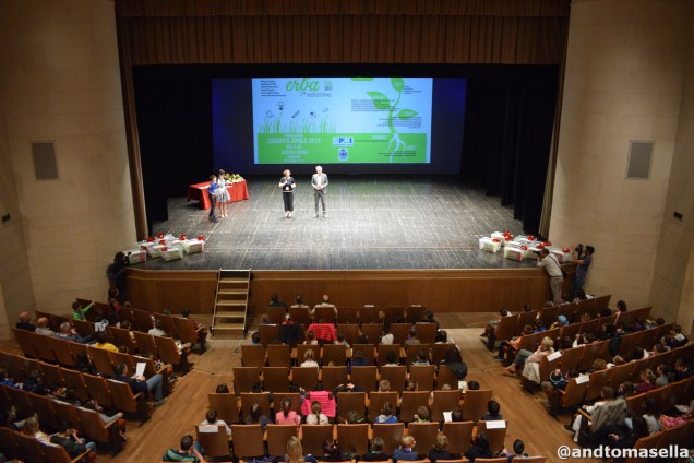 progetti in erba gorizia 2017