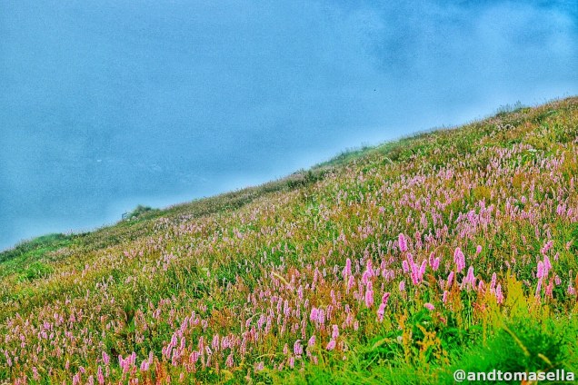 monte nero 2245 m via normale krn fotogalley escursione