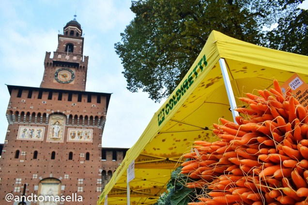 carote coldiretti sto coi contadini milano 2017 castello sfrozesco