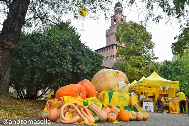 zucche alla manifestazione coldiretti milano