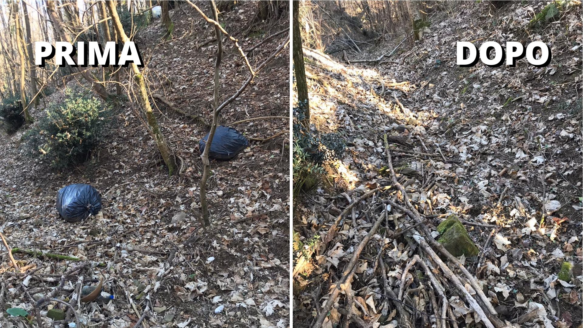 FOTOTRAPPOLE MONTE CALVARIO GORIZIA 2