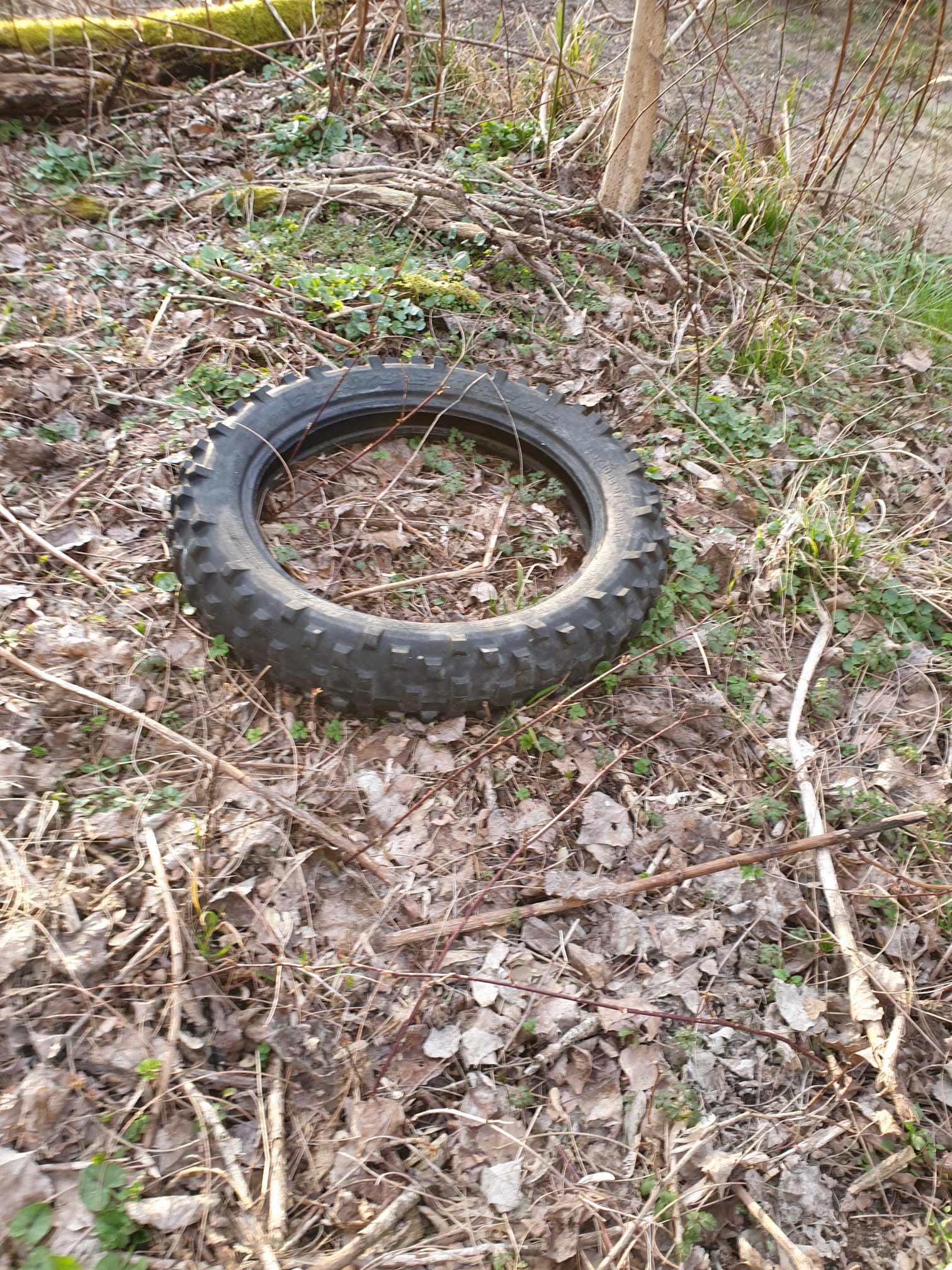 abbandono rifiuti parco isonzo lucinico 1