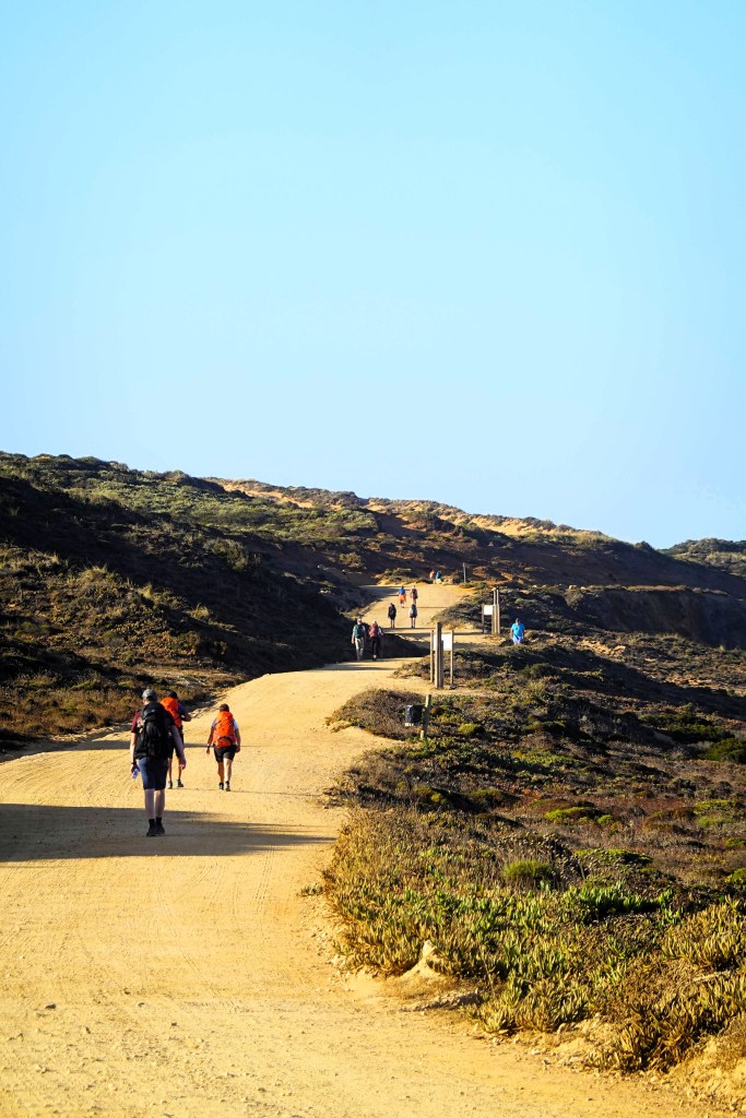 Gruppo di camminatori con zaino da trekking che avanza lungo il percorso sabbioso della Rota Vicentina